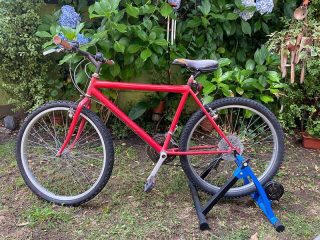 WhatsApp-Image-2023-01-26-at-12.21.55-min