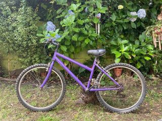 WhatsApp-Image-2023-01-26-at-12.21.56-1-min