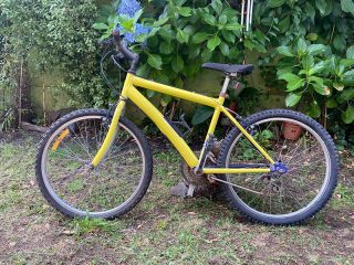 WhatsApp-Image-2023-01-26-at-12.21.56-3-min