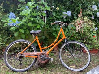 WhatsApp-Image-2023-01-26-at-12.21.58-min