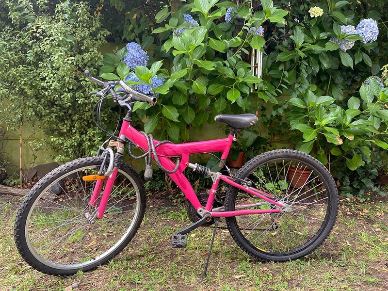 WhatsApp-Image-2023-01-26-at-12.22.03-min